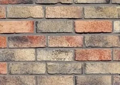 A close-up of a brick wall with various shades of red, brown, tan, and gray bricks.