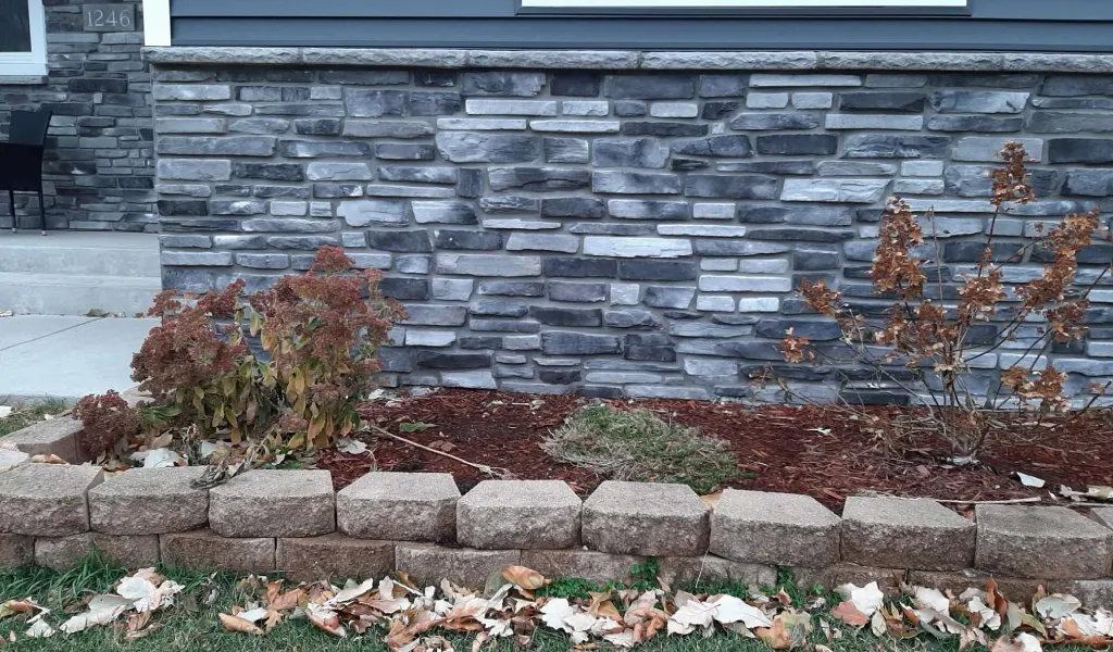 Stone house exterior with two wilted bushes and dry leaves scattered on the ground in front.