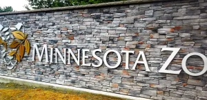 commercial-4 Stone wall with “Minnesota Zoo” and an animal mural, partially visible, outdoors.